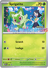 Pokémon - Trading Card Game: Grand Adventure Collection