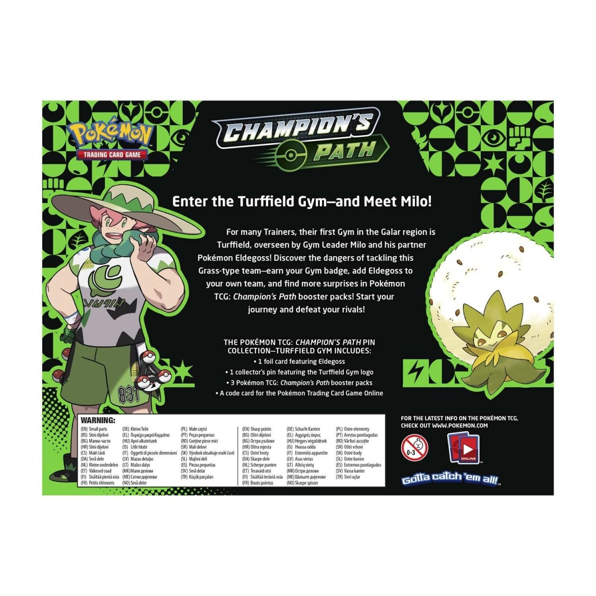 Pokemon Champion's Path Turffield Gym Pin Collection